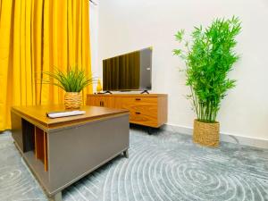 an office with two potted plants and a tv at Résidence moncloa in Brazzaville