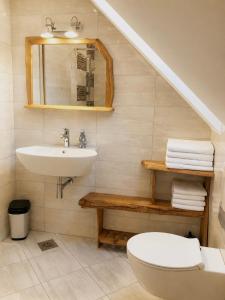 a bathroom with a sink and a toilet and a mirror at Apartmaji Kramar Rateče in Kranjska Gora +10 photos