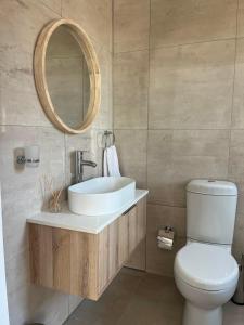 a bathroom with a sink and a toilet and a mirror at Zahari Villas in Parys