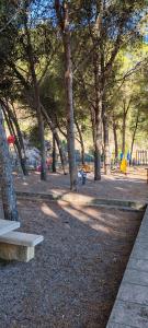 a park with a bunch of trees and benches at Casa la Solana 1915 in Lucena del Cid