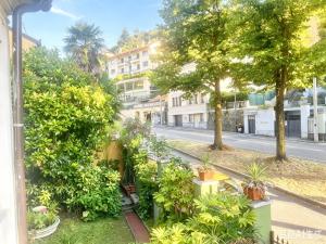 a street with trees and potted plants on the sidewalk at Casaxxvaprile in Turin
