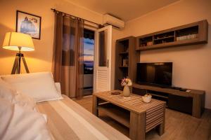 a living room with a couch and a television at Apartment Hotteamo in Silba