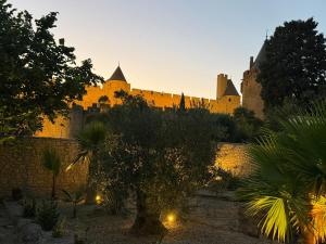 a castle with a tree in front of it at Le jardin de la Vade in Carcassonne