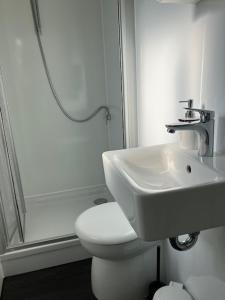a bathroom with a sink and a toilet and a shower at Reetblick in Haseldorf