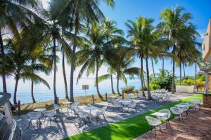 a group of chairs and palm trees on the beach at Hôtel des Roches Kourou in Kourou