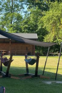 two hammocks sitting in the grass with a canopy at Uroczysko Lady in Lady