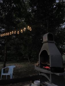 a outdoor fireplace with a string of lights at BrusNica in Gornji Milanovac