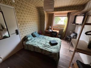 a bedroom with a bed and a desk and a window at Chez Tiina in Colmar