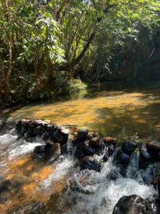 a stream of water with rocks in a forest at Santuário da Chapad a dos Veadeiros in Alto Paraíso de Goiás