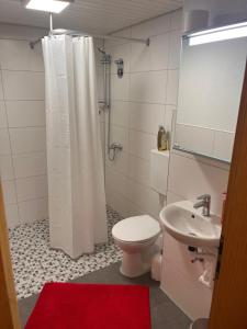 a bathroom with a white shower curtain and a toilet at Ferienwohnung Talglück in Weissach Im Tal