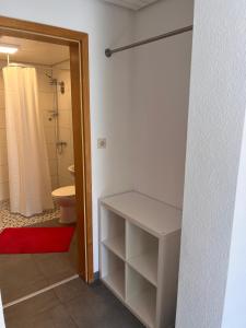 a bathroom with a shower and a toilet and a door at Ferienwohnung Talglück in Weissach Im Tal