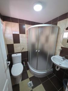a bathroom with a shower and a toilet and a sink at Deskom Žuta Vila in Veliko Gradište