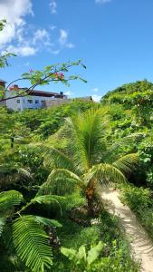 a palm tree on the side of a hill at Serene Apartments in Kinyasini