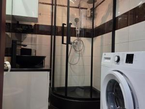 a bathroom with a washing machine in a room at Apartament Glamour in Rybnik