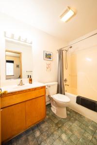 a bathroom with a toilet and a tub and a sink at Grayling Getaway, Cabin 1 at Lower Kenai Lodge in Kenai +51 photos