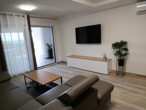 a living room with a couch and a flat screen tv at Apartmani Srdarović in Drage