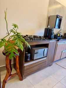 a kitchen with a counter with a microwave and a plant at EcoStay Lençóis - apartamento in Lençóis