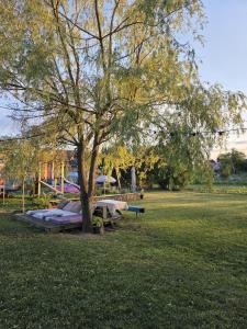 a park with a tree and a bunch of tables at Lavander Garden in Răscruci