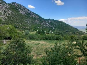 a view of a mountain with trees in a field at Apartman Selišta in Danilovgrad +4 photos