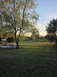 a park with a tree and a couch in the grass at Lavander Garden in Răscruci