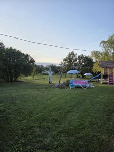 a yard with a picnic table and a playground at Lavander Garden in Răscruci
