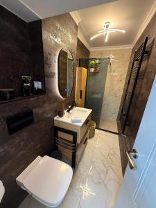 a bathroom with a sink and a toilet and a shower at Luma Apartment in Tecuci