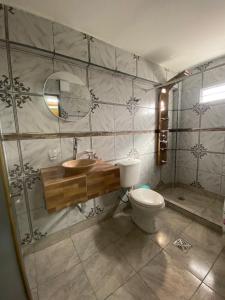 a bathroom with a toilet and a sink and a mirror at Hotel Altos de la Puna in San Antonio de los Cobres +94 photos