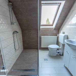 a bathroom with a shower and a toilet and a window at Biró Vendégház in Sármellék +31 photos