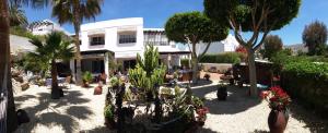 Сад в Hotel las Calas