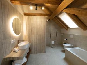 a bathroom with a sink and a toilet and a mirror at Fuxbau Allgäu in Argenbühl +52 photos