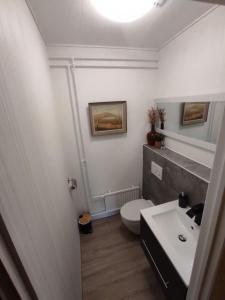a bathroom with a white toilet and a sink at Happy place in Kitee