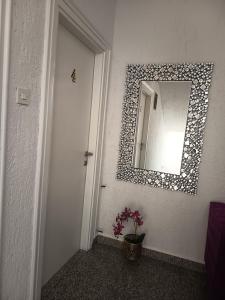 a hallway with a mirror and a plant next to a door at La Diva Adriatica in Podstrana