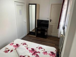 a bedroom with a bed and a tv in it at Pensiunea Florian in Tulcea