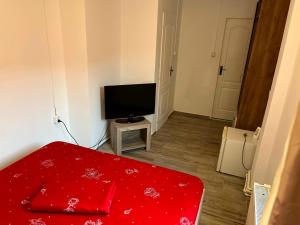 a room with a red bed and a flat screen tv at Pensiunea Florian in Tulcea +10 photos