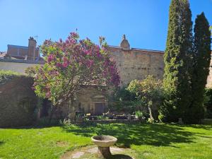 a garden with a bird bath in front of a building at L'aparté Roussat in Langres