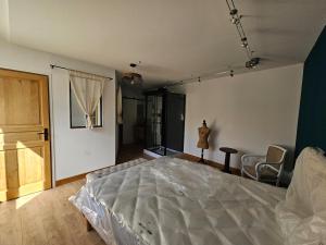 a bedroom with a large bed in a room at L'aparté Roussat in Langres