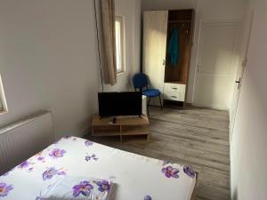 a bedroom with a bed and a television in it at Pensiunea Florian in Tulcea