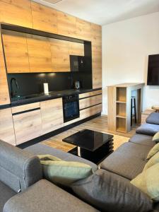 a living room with two couches and a tv at Apartmán Madlen in Dolní Bobrová