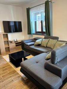 a living room with a couch and a flat screen tv at Apartmán Madlen in Dolní Bobrová