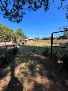 a dog standing in a field with a fence at El rinconcito in Omitlán de Juárez
