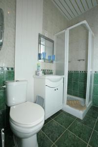 BykovoにあるSanatoriy Sosnyのバスルーム(白いトイレ、シャワー付)