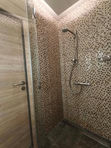 a bathroom with a shower with a glass door at Am Flutgraben in Adorf