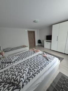 a bedroom with two beds with a black and white comforter at Casa De Oaspeti Anna in Sovata