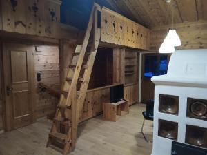 a loft bed in a log cabin with a ladder at Haus am Wörtherberg in Rauris