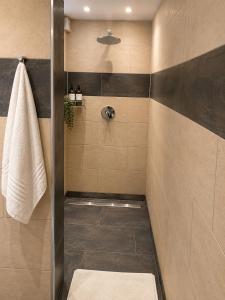 a bathroom with a shower with a towel at Ferienhaus Bailey in Laupheim +44 photos