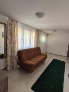 a living room with a brown couch and a green rug at Casa De Oaspeti Anna in Sovata