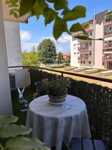 a table with a potted plant on a balcony at Pop Art Apartament in Treviso