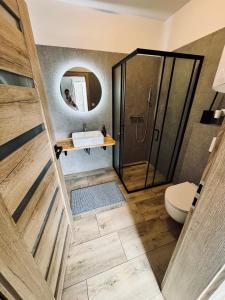 a bathroom with a shower and a toilet and a sink at Ubytování U Špíšků in Jaroslavice