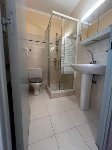 a bathroom with a toilet and a shower and a sink at Auberge du Coustet in Saint-Léger