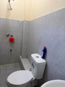 a bathroom with a toilet and a shower at Arabella Homes in Maralal
